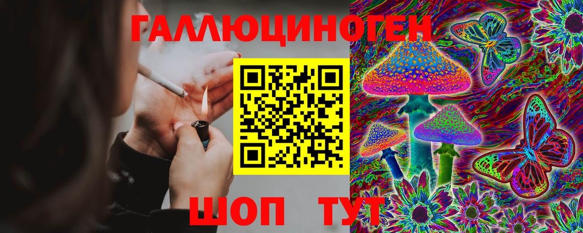 Сосновоборск  Галлюциногенные грибы мухоморы  Вход с VPN 